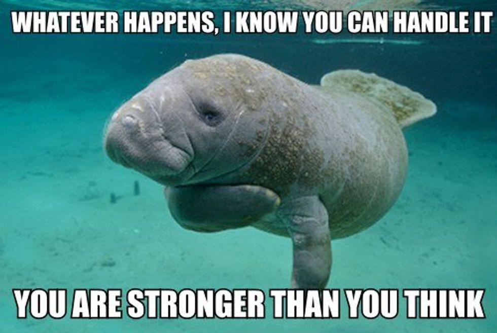 10 Internet Places To Make You Feel Better