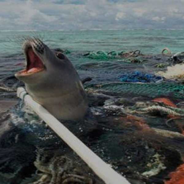 We Are Killers And Our Victims Are Helpless