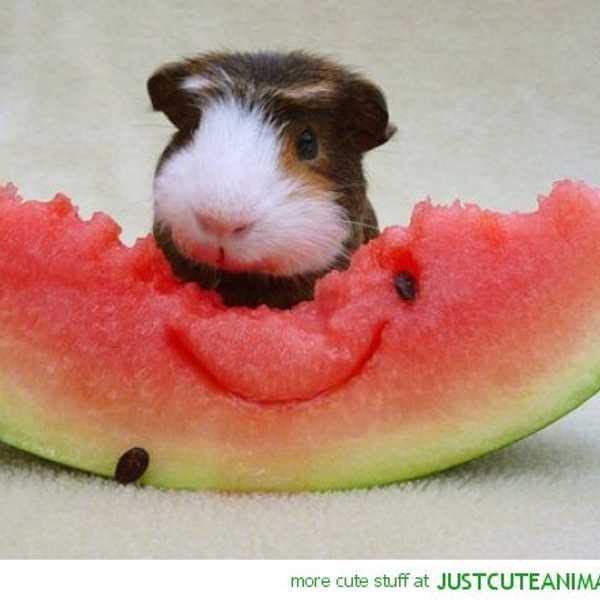 9 Videos Guaranteed To Brighten Your Day
