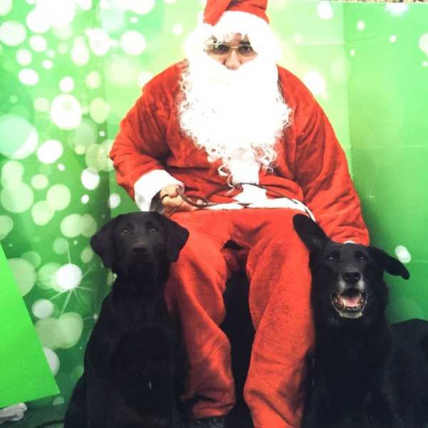 7 Things That Happen When You're Obsessed With Your Dog