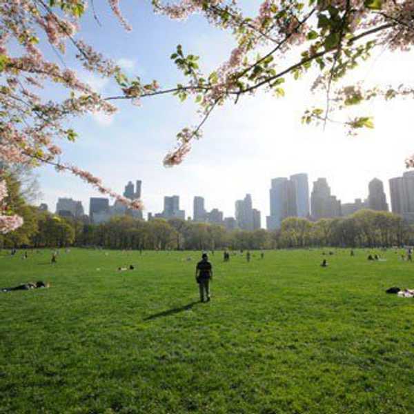 9 Things That Happen In NYC When The Weather Gets Warmer