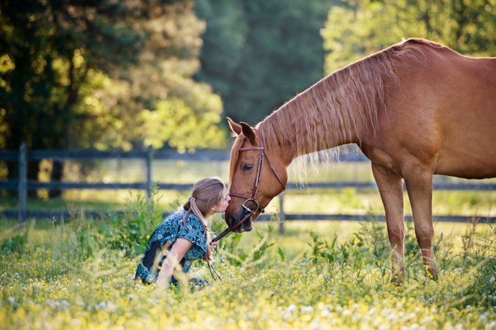 Anthrozoology? What is that?