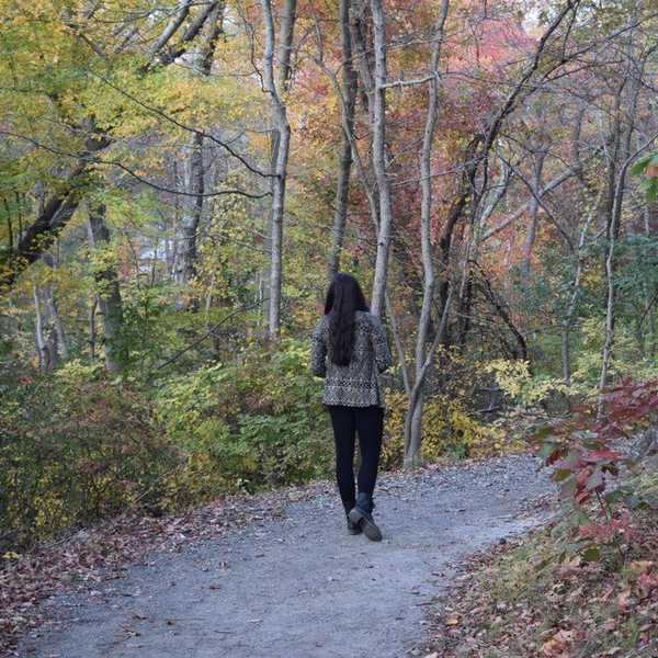 An Open Letter To My Real Friends