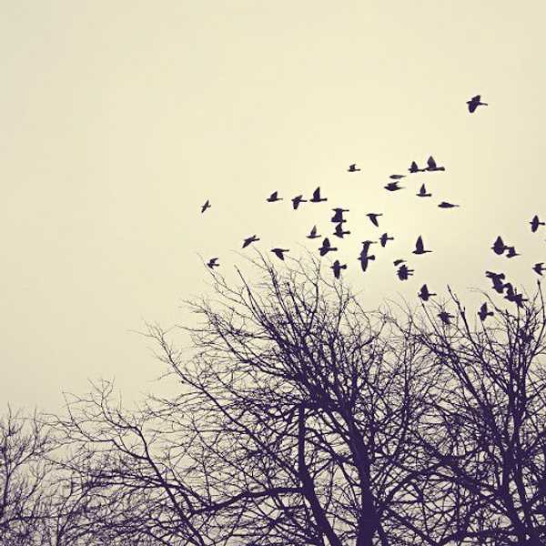 Diary Of A Perfectionist