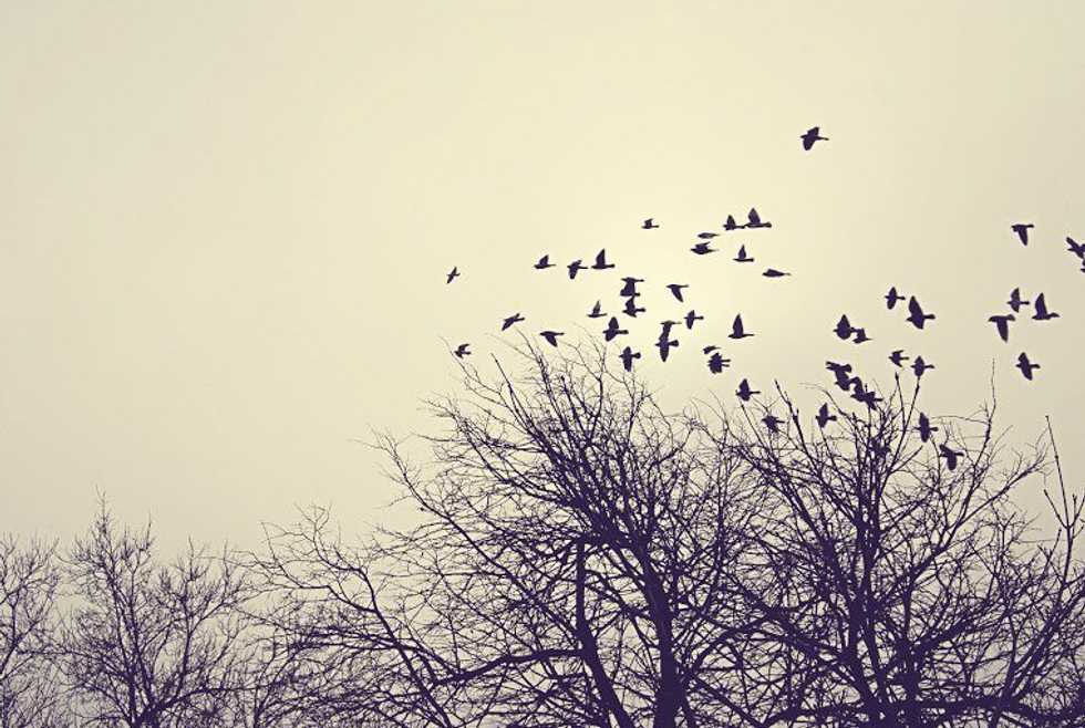 Diary Of A Perfectionist