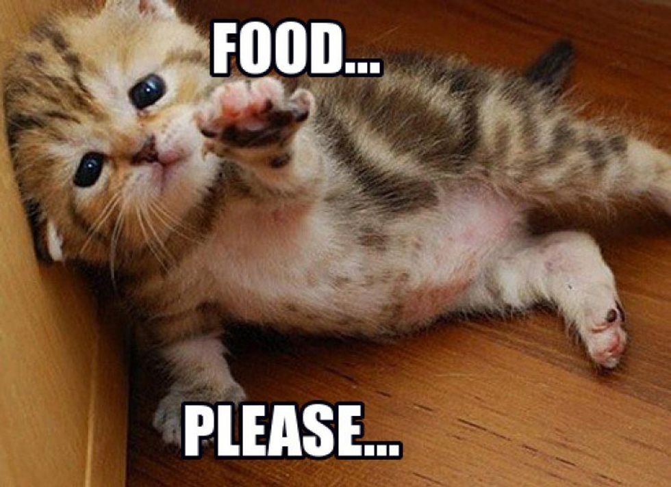 7 Things that Happen When Your Parents Visit at College