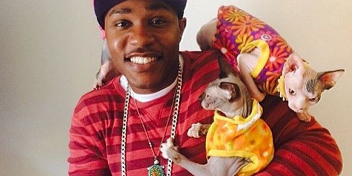 R&b Cat Rapper You Need To Check Out The Cat Rapper On YouTube Today | The Odyssey Online