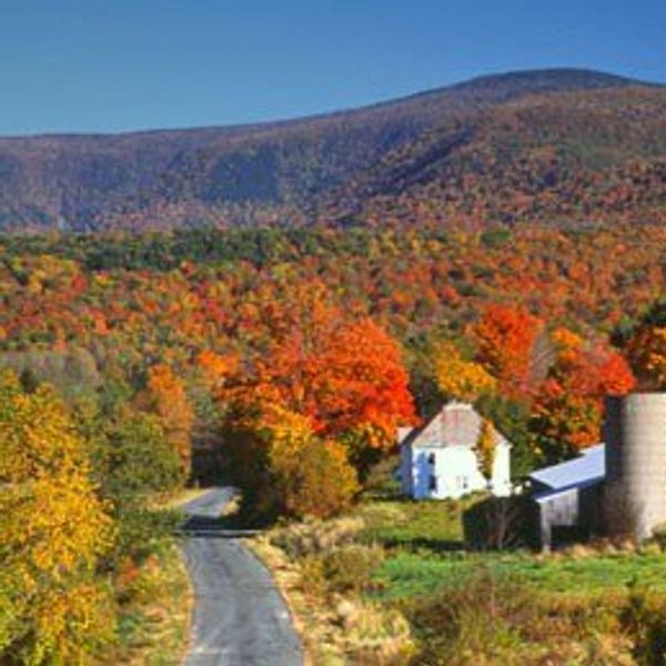 15 Perks Of Living In The Middle Of Nowhere