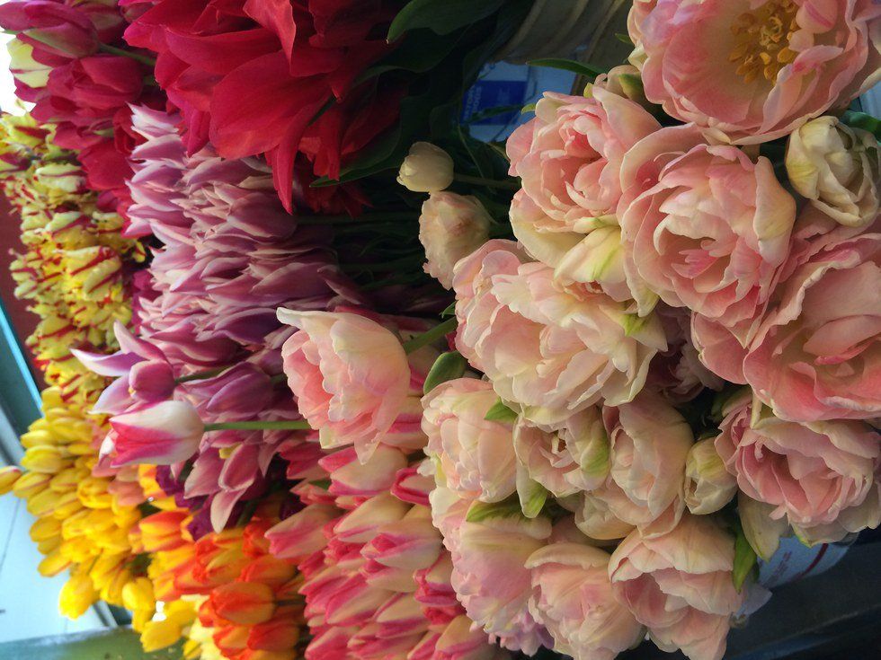 Ways To Start Fresh In The Spring