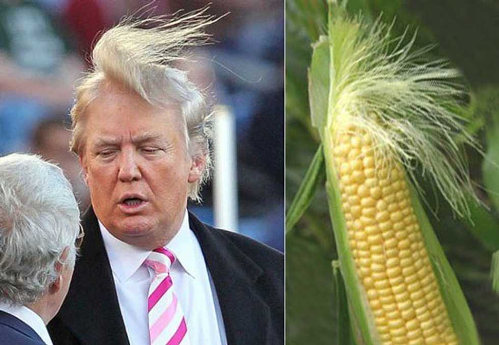 What To Do If Donald Trump Wins The Presidential Election