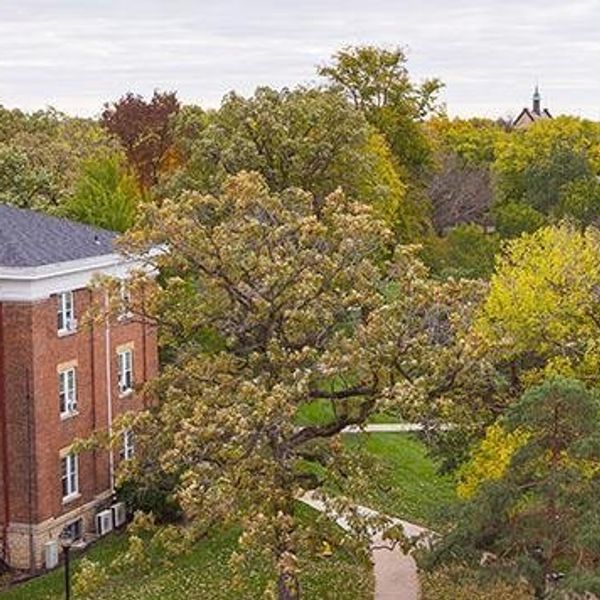 The Ten Stages Of Staying On Campus For Spring Break