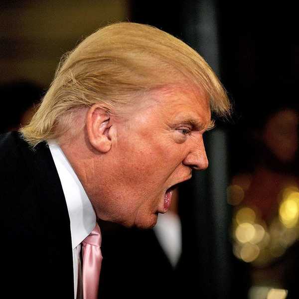 Reaping Trump