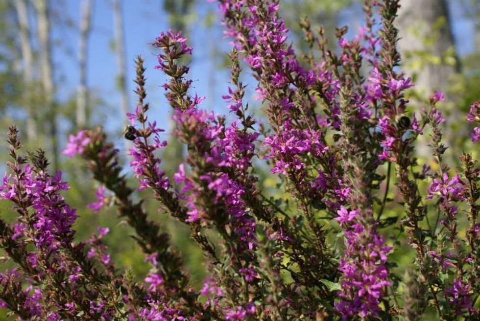 10 Things To Do When Spring Has Sprung