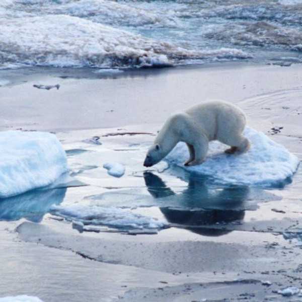Let's Talk About Climate Change