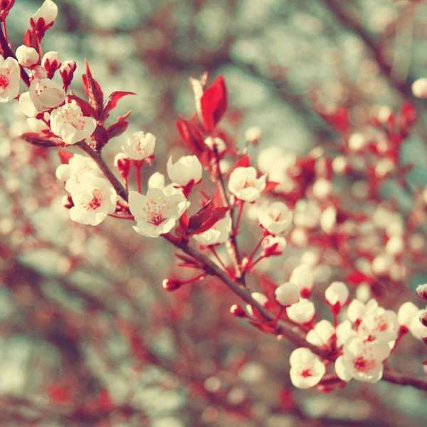Things You Need For Spring