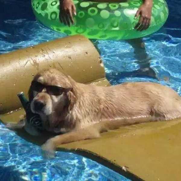 10 Things That Are All Too Real For The Student Ready For Spring Break