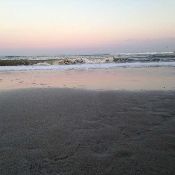 10 Things College Students Should Do During Spring Break