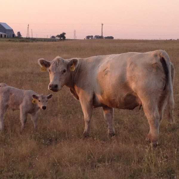 8 Things You Learned Growing Up On A Farm