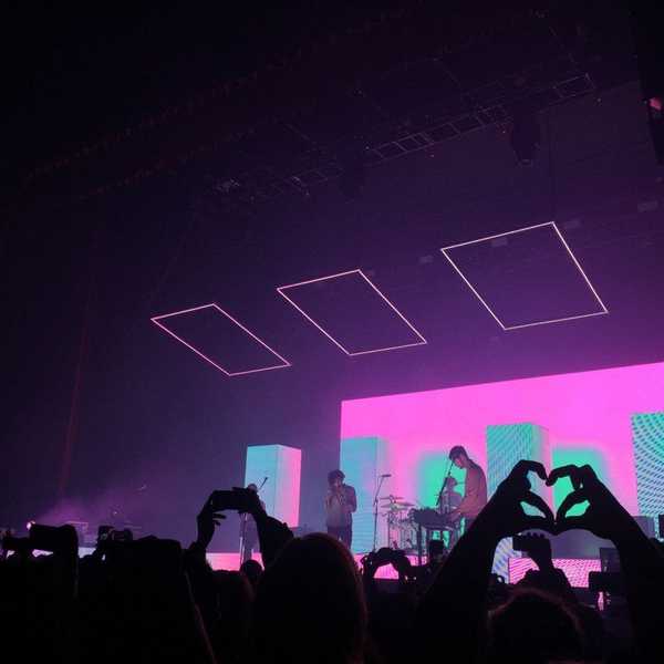 The Life of a Concert-Goer