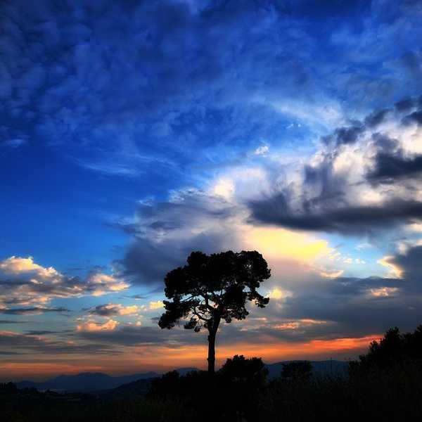Musings On God's Created Order