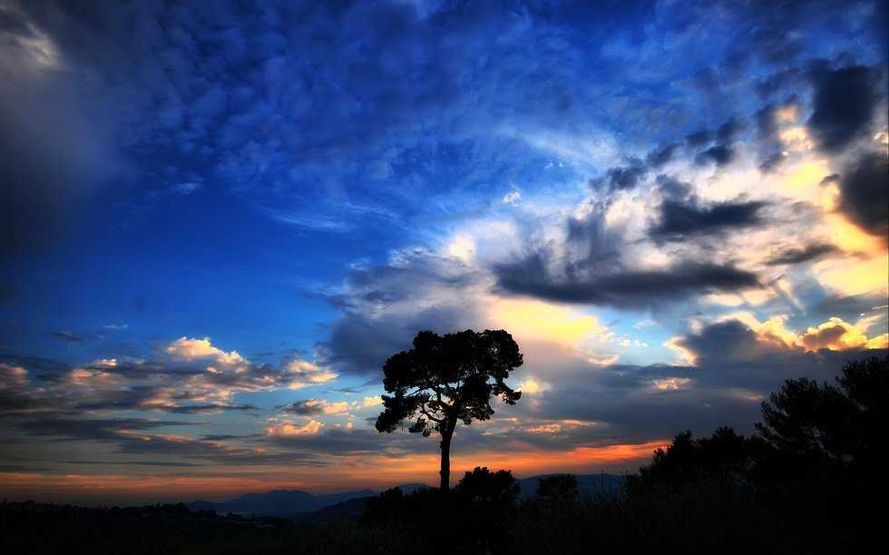 Musings On God's Created Order