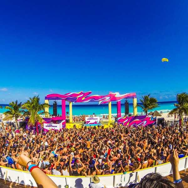 Thank You, Spring Break
