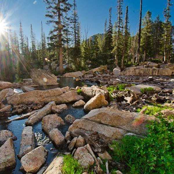 5 Things You Hear When You Attend College Close To Home