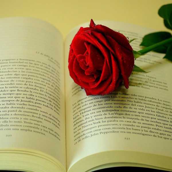 10 Moments Every Book Lover Knows
