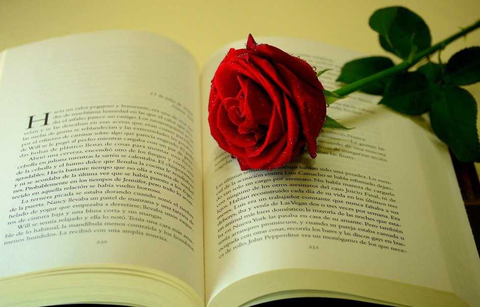 10 Moments Every Book Lover Knows
