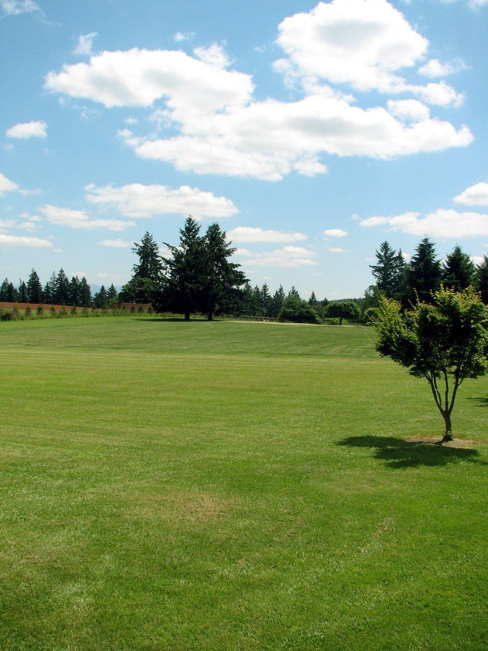 6 Things Growing Up In A Small Town Taught Me