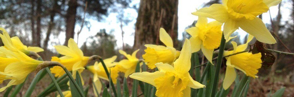 The Beauty In The Broken