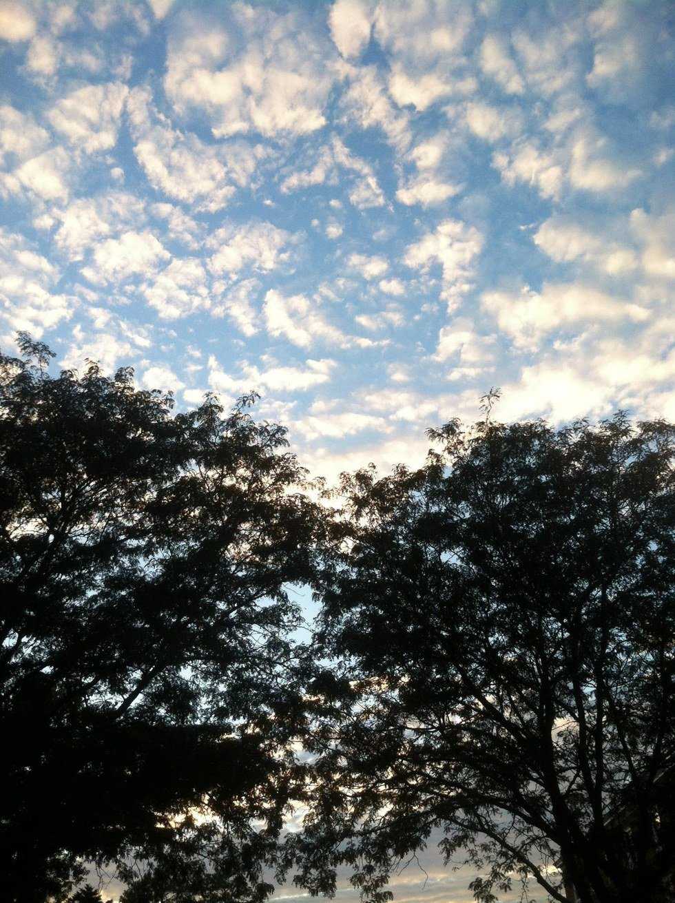 Freedom From Forgiveness