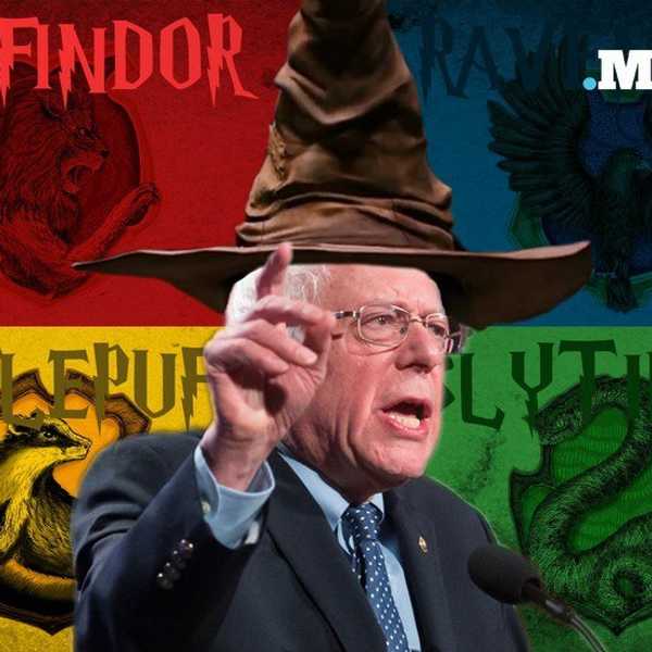 Harry Potter And The Presidential Race