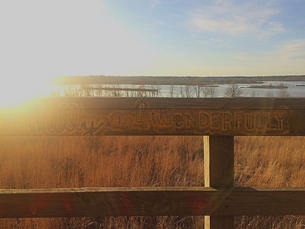 Things I Really Wish I Knew Before Freshman Year