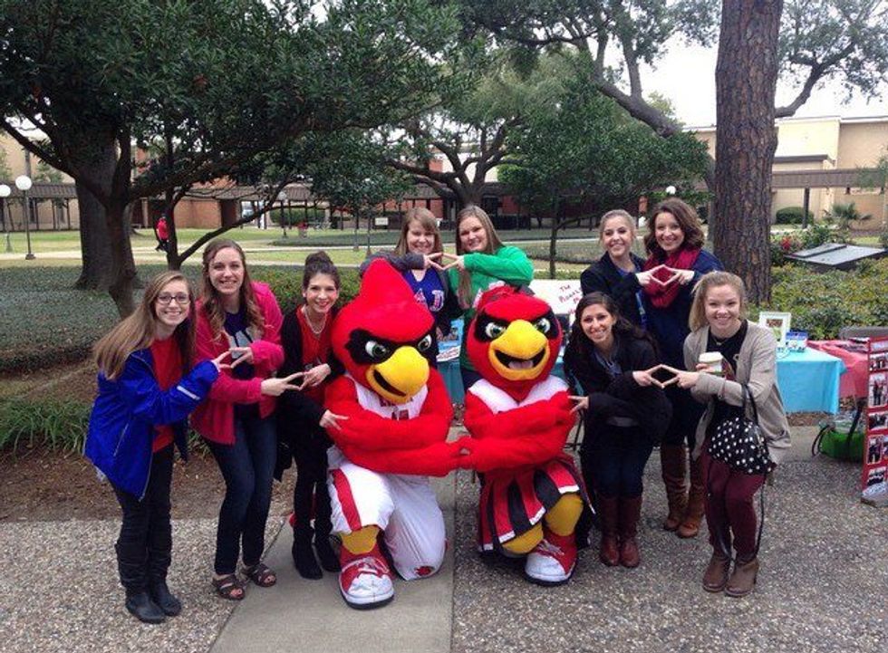 We Own Lamar University