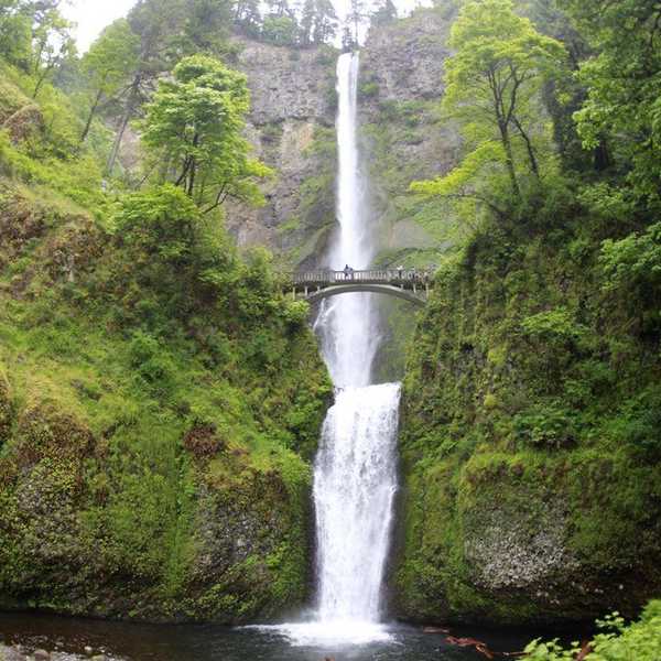 10 Things You Can Do For The Environment