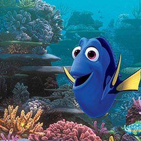 11 Life Lessons We Learned From Dory