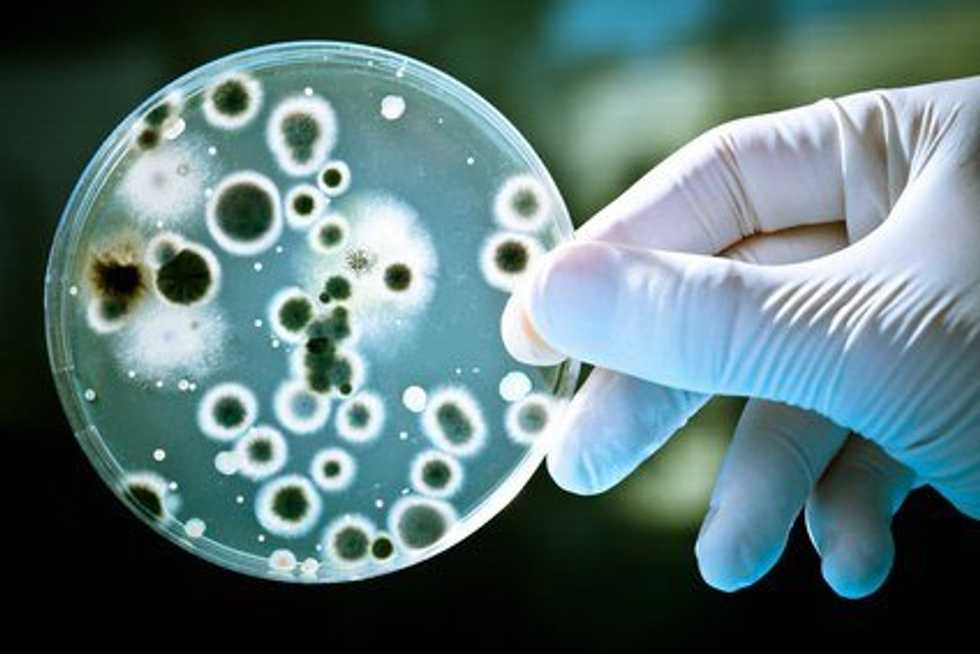 10 Struggles Of Biology Majors