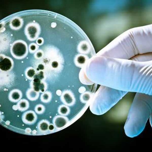 10 Struggles Of Biology Majors