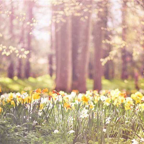 What To Do Over Spring Break