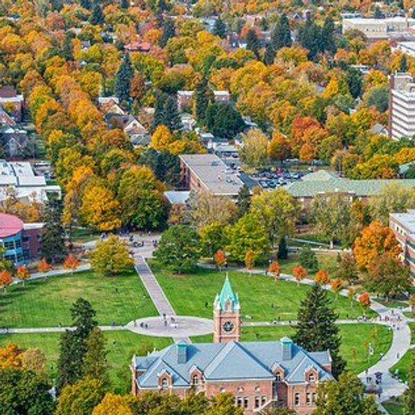 The Top 9 Reasons To Live On Campus
