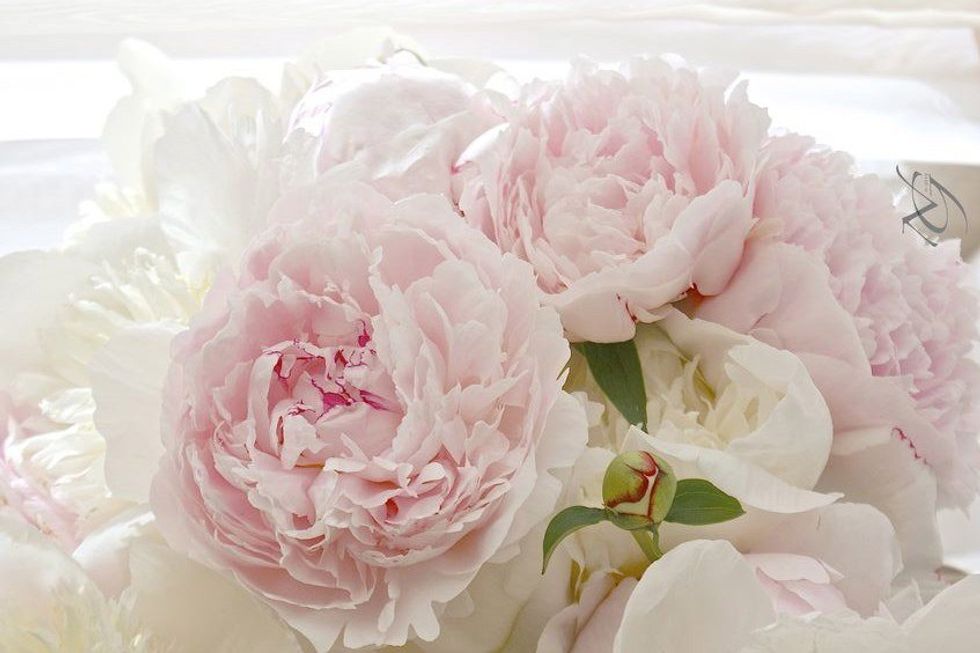 Who Am I?: The Identity Struggles Of A College Student