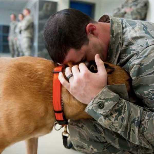 10 Reasons Why Dogs Are Better Than Humans