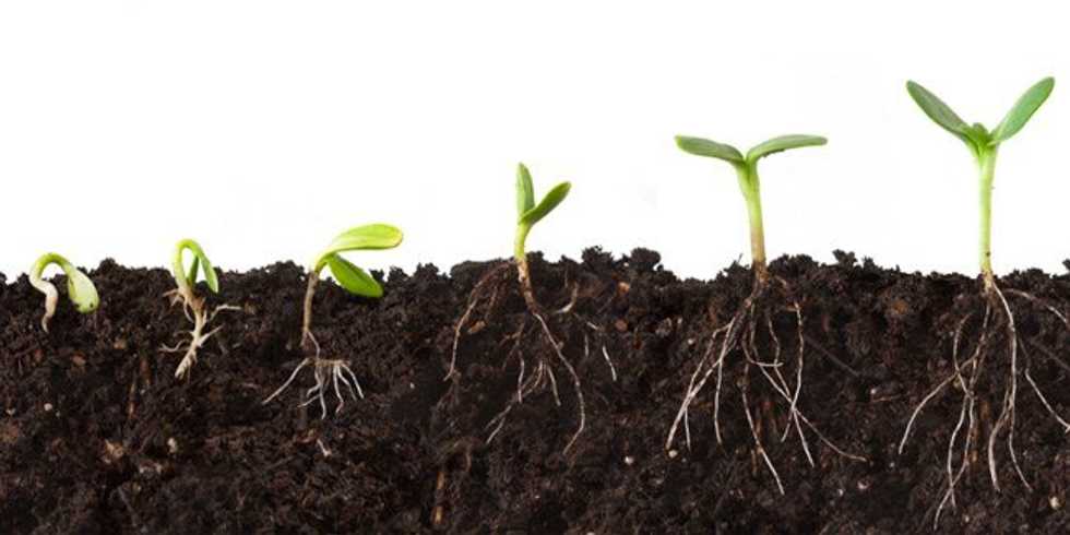 Why Change Is A Good Thing