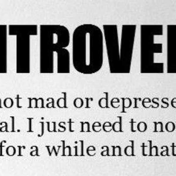 An Open Letter To Introverts
