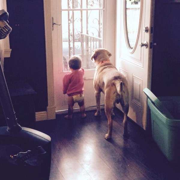 12 Reasons Everyone Needs a Dog