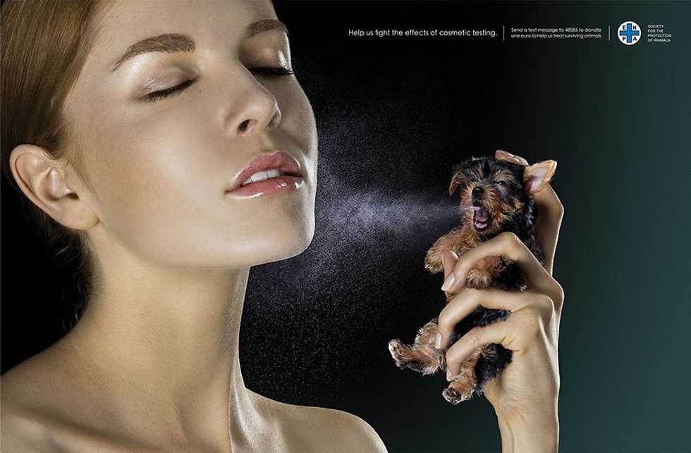 Horrible Things You Had No Idea Were Happening To Animals When They Get Tested On