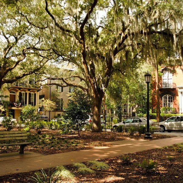 Top 10 Things To Do In Savannah