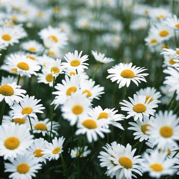 How Photography Taught Me To See The World Differently