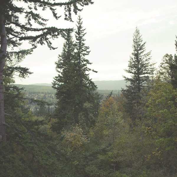 7 Things A Californian Knows To Be True About Moving To The PNW For College